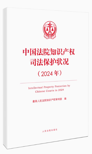 йԺ֪ʶȨ˾״2024꣩