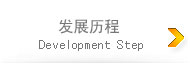 发展历程