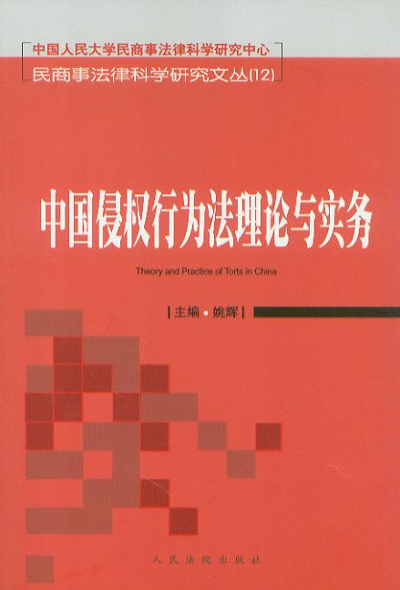 中国侵权行为法理论与实务/民商是法律科学研究文丛.12