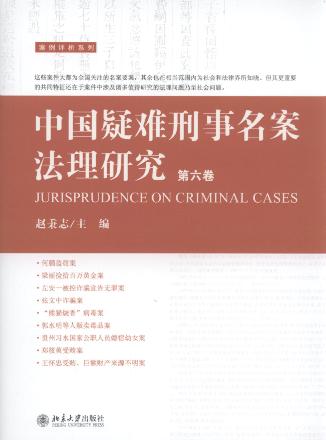 中国疑难刑事名案法理研究.第六卷/案例评析系列