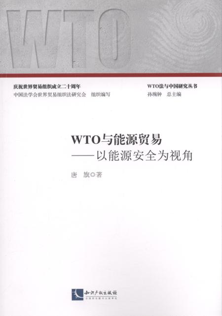 WTO与能源贸易:以能源安全为视角/WTO法与中国研究丛书