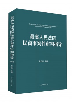 最高人民法院民商事案件审判指导(第4卷)