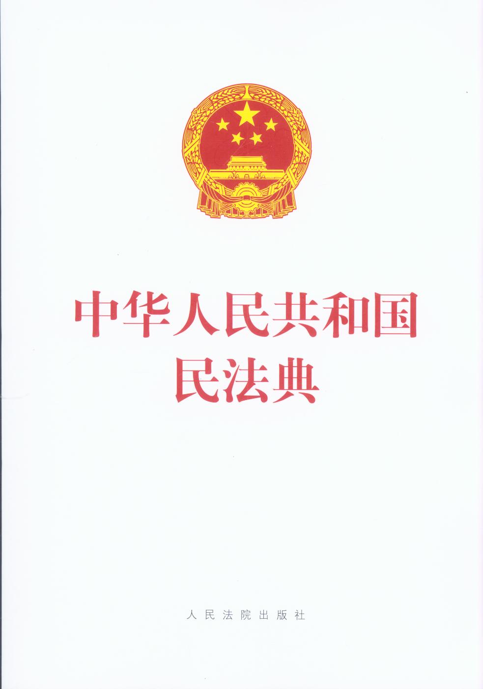 中华人民共和国民法典（大字大开本16开）