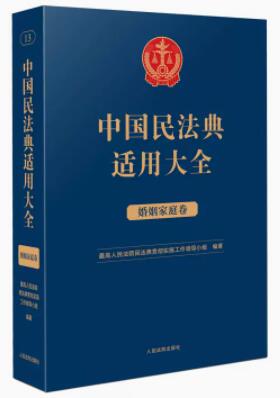 中国民法典适用大全（婚姻家庭卷）