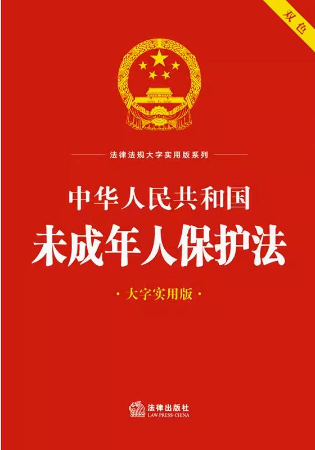 中华人民共和国未成年人保护法（大字实用版）