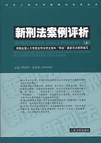 新刑法案例评析(上/下)(中华人民共和国刑法实务丛书)