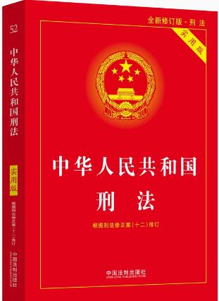 中华人民共和国刑法（实用版）【第十版】